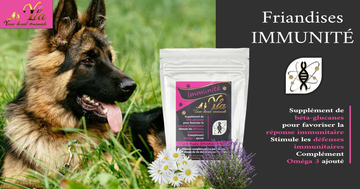 immunite-friandises-hypoallergeniques-pour-chien